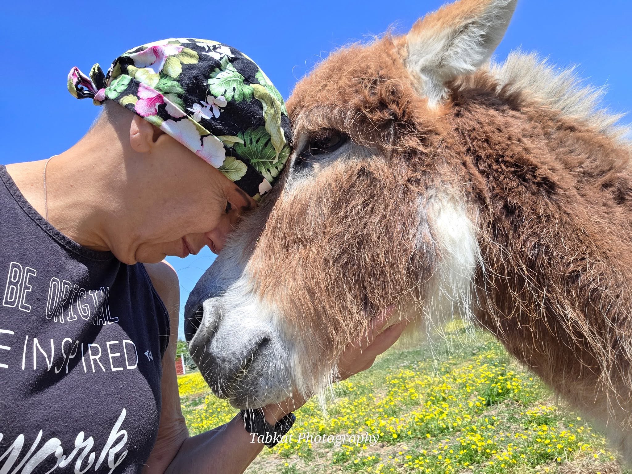 A person sharing a tender moment with a donkey in a flower-filled field
